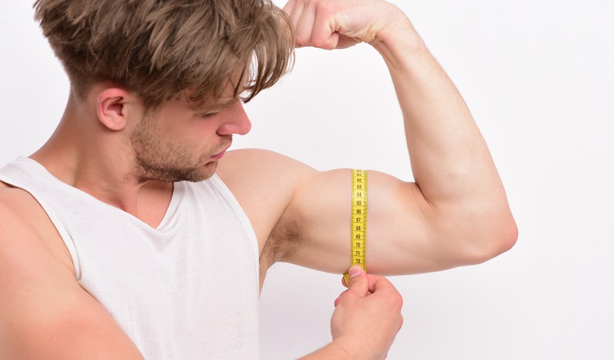 Average Bicep / I wouldn't measuring your biceps to tell you whether your for a man of Average Bicep / I wouldn't measuring your biceps to tell you whether your for a man of